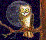 OvO