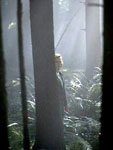 Scully busca por su cuenta