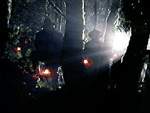 Los Kindred buscan a los agentes