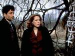 Mulder y Scully descubren el s�mbolo vud� pintado en el �rbol