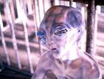 Uno de los 'aliens' abducidos se repite a si mismo 'Esto no est� pasando...'
