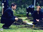 Mientras los agentes de criminal�stica revisan el jard�n, Mulder comprende la verdad sobre Betsy
