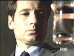 Mulder descubre el escarabajo en el vaso de Scobie