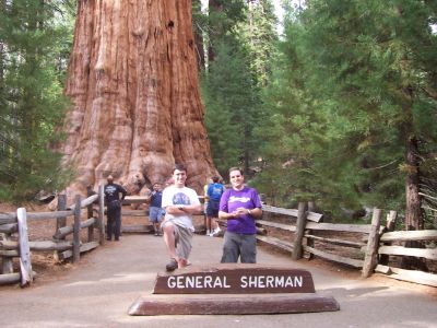 La general Sherman, el arbol m�s grande del mundo (que no el m�s alto, ni tampoco mucho m�s grande que el resto de las del parque. Pero si es grande, es grande).