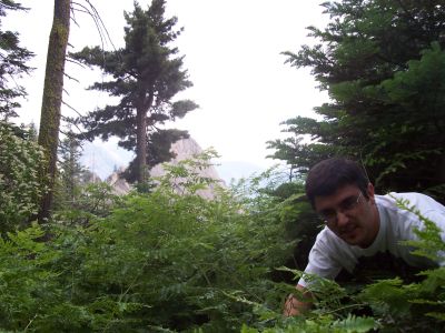 Joan se aventura en midad del bosque, para encontrar la monta�a...