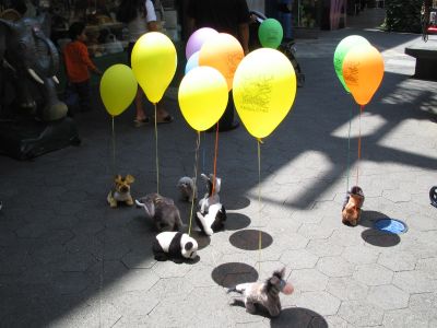 Perritos mec�nicos abandonados en busca de due�o.