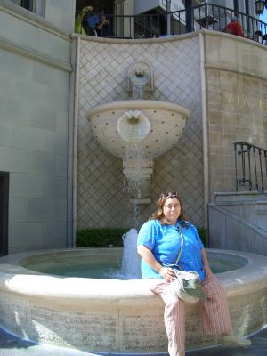 Fuente en Rodeo Drive.