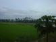 The view at the back!