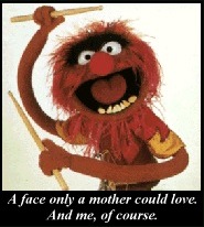 Animal, one of Jim Henson's Muppets.