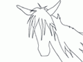 Caballo 2
