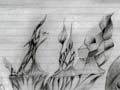Enredado 27/01/06