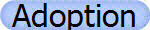 Adoption