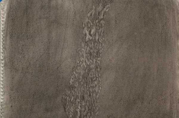 tree-bark