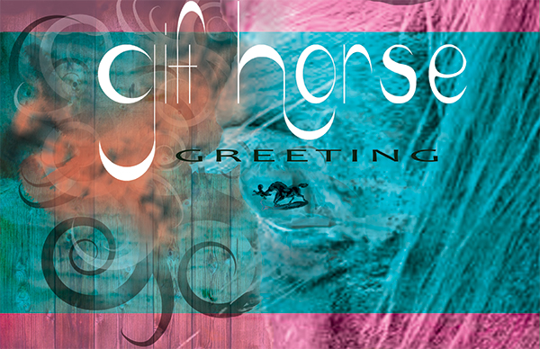 gift horse greeting final design