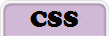 CSS