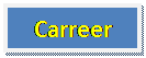 Text Box: Carreer