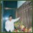 sumon04