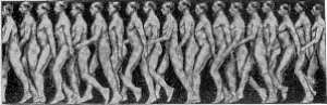 Fig. 17. As� anda el hombre. (Posiciones sucesivas del cuerpo al andar.