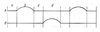 Fig. 18. Representaci�n gr�fica del movimiento de los pies al andar. La l�nea superior (A) corresponde a un pie; la inferior (B), al otro. Las partes rectas representan los momentos en que el pie se apoya en el suelo; los arcos, los momentos en que el pie se mueve sin apoyarse en ninguna parte. En este gr�fico puede verse, como durante el per�odo de tiempo a ambos pies se apoyan en el suelo; durante b, el pie A est� en el aire, mientras que pie B sigue apoy�ndose en el suelo; durante c, otra vez se apoyan ambos pies. Cuanto m�s deprisa se ande, m�s cortos ser�n los intervalos a y c (comp�rese con el gr�fico del movimiento de los pies al correr).