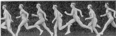 Fig. 19. As� corre el hombre. (Posiciones consecutivas del cuerpo durante la carrera; Obs�rvese que en algunos momentos ambos pies est�n en el aire.)