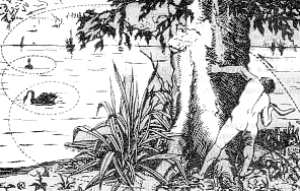 Fig.  35. Procedimiento de cazar con bumerang que emplean los australianos para sorprender a sus v�ctimas desde un escondite. La trayectoria que sigue el bumerang (en caso de fallar el tiro) es la que indica la l�nea de puntos.