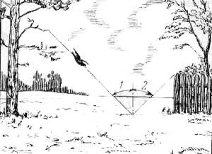 Fig.104.  Soluci�n del problema de la corneja.