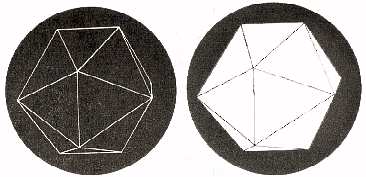 Fig.133.  Brillo estereosc�pico.  Cuando estos dibujos se miran por el estereoscopio y se confunden, vemos la imagen de un cristal brillante sobre fondo negro.