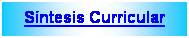 Cuadro de texto: S�ntesis Curricular