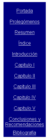Cuadro de texto: Portada
Proleg�menos
Resumen
�ndice
Introducci�n
Cap�tulo I
Cap�tulo II
Cap�tulo III
Capitulo IV
Cap�tulo V
Conclusiones y 
Recomendaciones
Bibliograf�a










