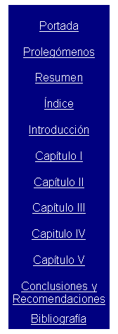 Cuadro de texto: Portada
Proleg�menos
Resumen
�ndice
Introducci�n
Cap�tulo I
Cap�tulo II
Cap�tulo III
Capitulo IV
Cap�tulo V
Conclusiones y 
Recomendaciones
Bibliograf�a










