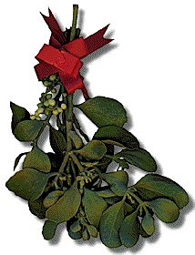 Mistletoe