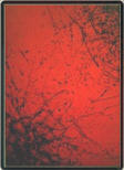 Rosso di Roberta Marchese