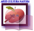 Association Yanco Club - en constructione
