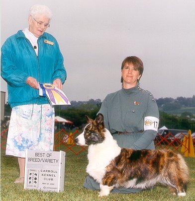 Yardican Trail Dust, handled by Debbie Moore