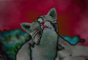 � The cat of the ambassador, a erotic story - by Gerhard-Stefan Neumann ...