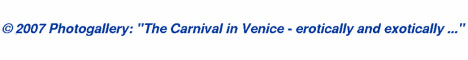 � 2008: The Carnival in Venice - erotically and exotically, mysterious ...