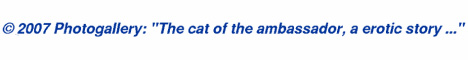 � The cat of the ambassador, a erotic story - by Gerhard-Stefan Neumann ...