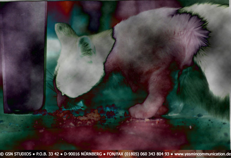 � The cat of the ambassador, a erotic story - by Gerhard-Stefan Neumann ...