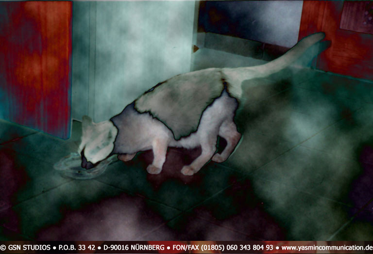 � The cat of the ambassador, a erotic story - by Gerhard-Stefan Neumann ...