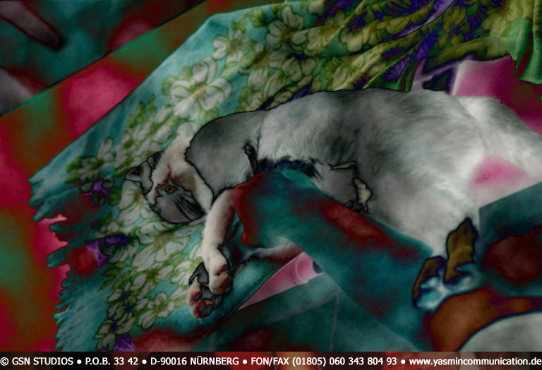 � The cat of the ambassador, a erotic story - by Gerhard-Stefan Neumann ...