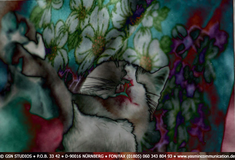 � The cat of the ambassador, a erotic story - by Gerhard-Stefan Neumann ...