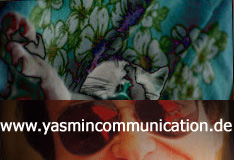 � The cat of the ambassador, a erotic story - by Gerhard-Stefan Neumann ...