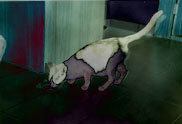 � The cat of the ambassador, a erotic story - by Gerhard-Stefan Neumann ...