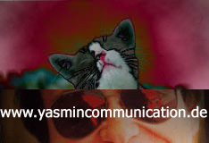 � The cat of the ambassador, a erotic story - by Gerhard-Stefan Neumann ...