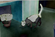 � The cat of the ambassador, a erotic story - by Gerhard-Stefan Neumann ...