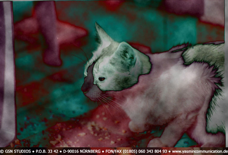 � The cat of the ambassador, a erotic story - by Gerhard-Stefan Neumann ...
