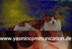 � The cat of the ambassador, a erotic story - by Gerhard-Stefan Neumann ...