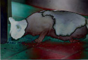 � The cat of the ambassador, a erotic story - by Gerhard-Stefan Neumann ...