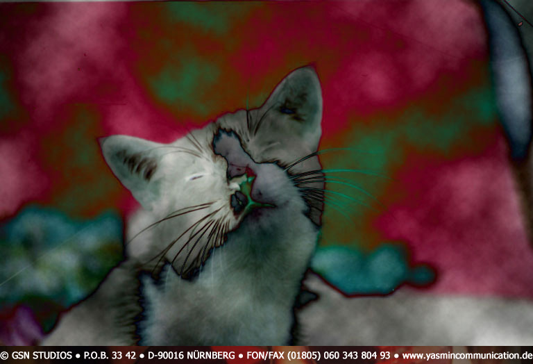 � The cat of the ambassador, a erotic story - by Gerhard-Stefan Neumann ...