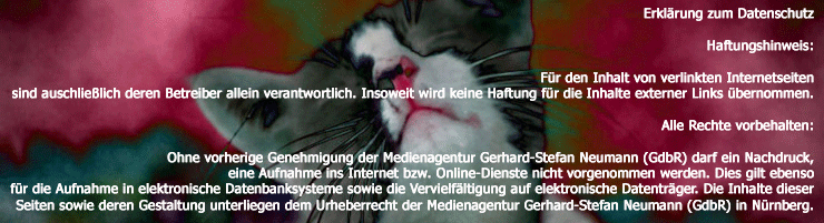 � 2008: Gerhard-Stefan Neumann (52) - Journalist + Werbetexter in N�rnberg ...